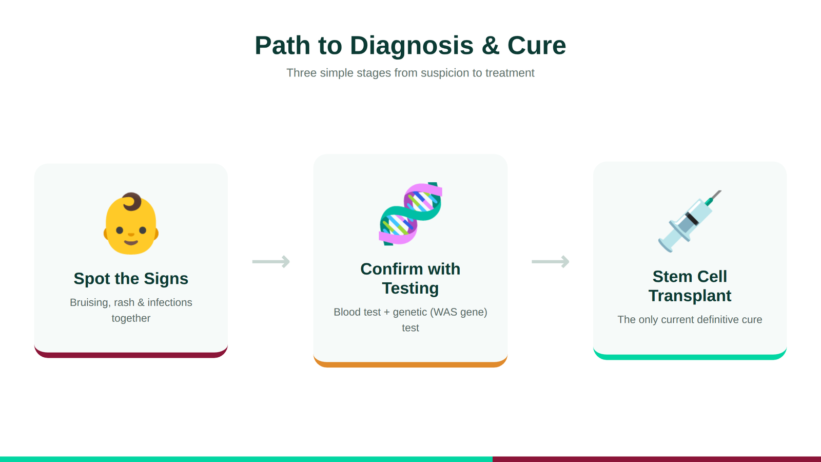 Wiskott-Aldrich Syndrome diagnosis and treatment path - blood test, genetic testing and stem cell transplant