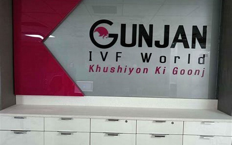 Gunjan IVF World, Janakpuri, New Delhi