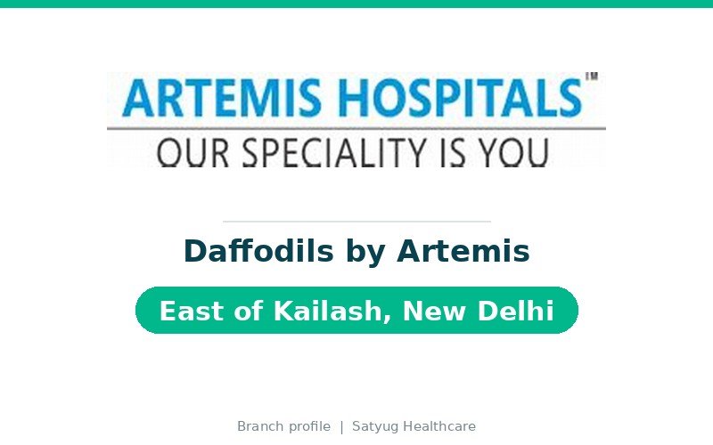 Daffodils by Artemis, East of Kailash, New Delhi