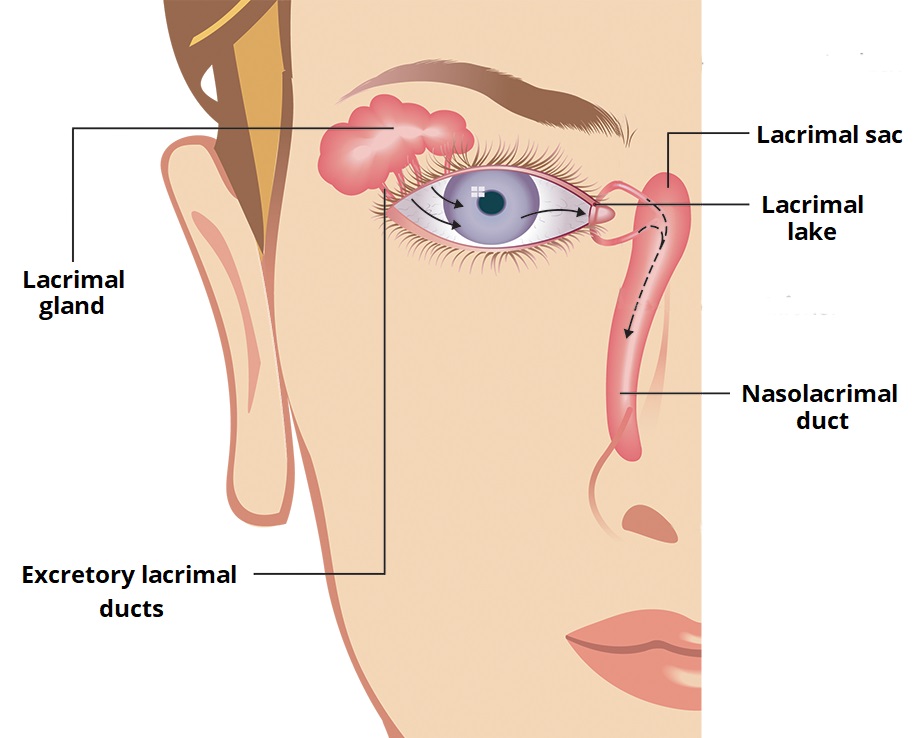 Ocuplasty Surgery cost in India