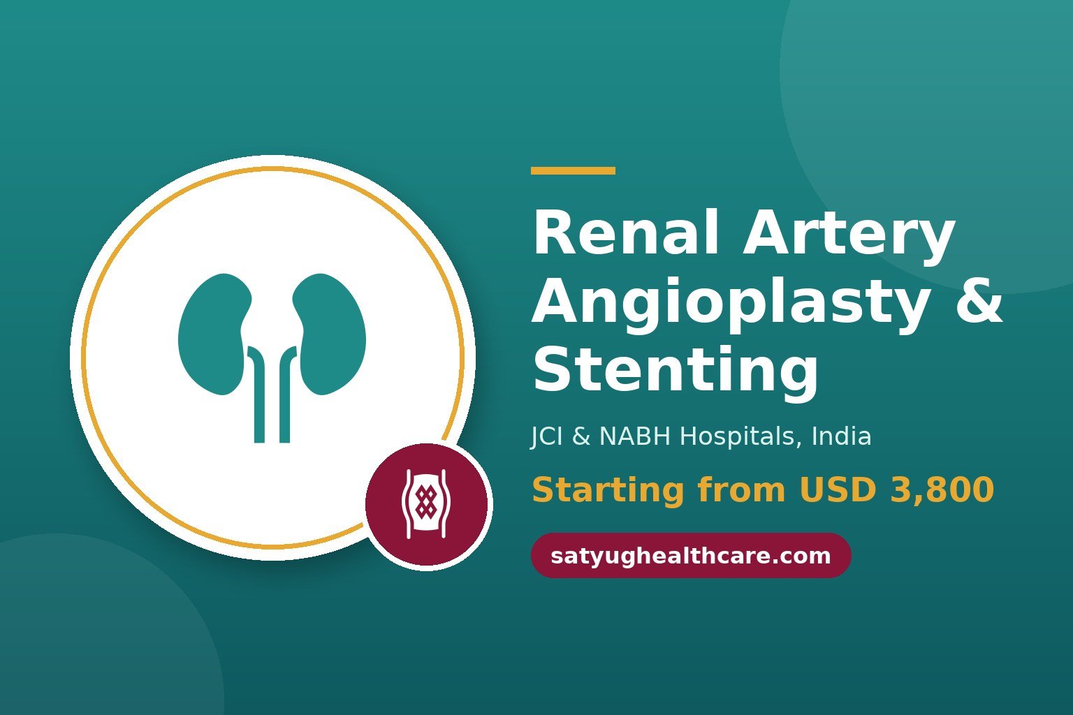 Renal Artery Angioplasty and Stenting Cost in India - Satyug Healthcare