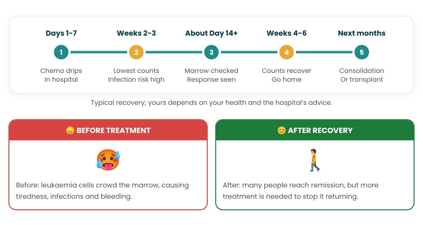 Recovery timeline after Induction Chemotherapy for AML Recovery timeline after Induction Chemotherapy for AML