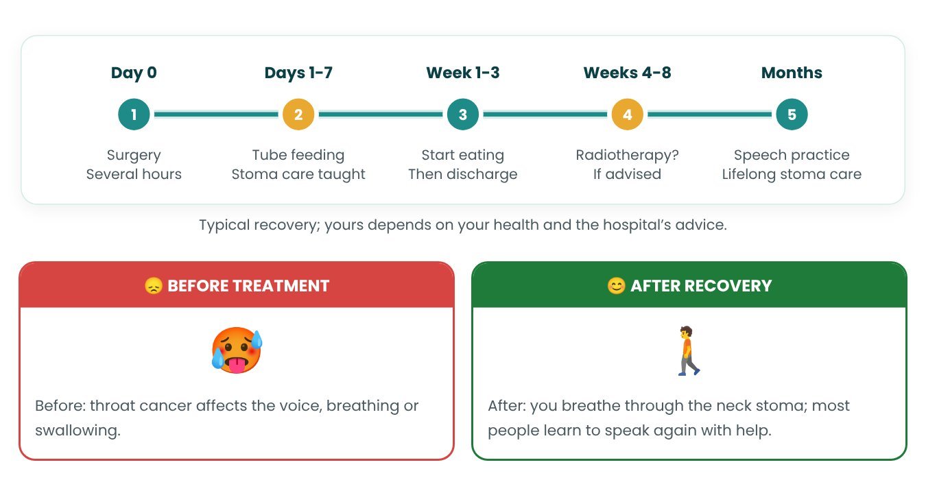 Recovery timeline after Laryngectomy Recovery timeline after Laryngectomy