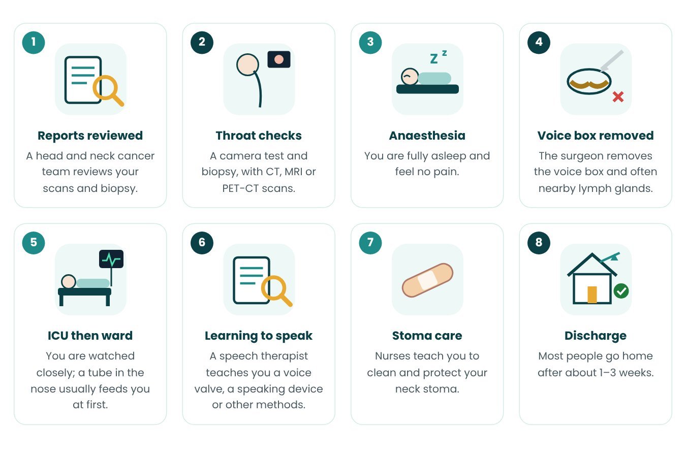Laryngectomy step by step in pictures Laryngectomy step by step in pictures