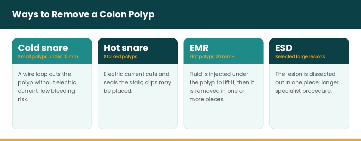 Polypectomy techniques cold snare hot snare EMR ESD Polypectomy techniques cold snare hot snare EMR ESD