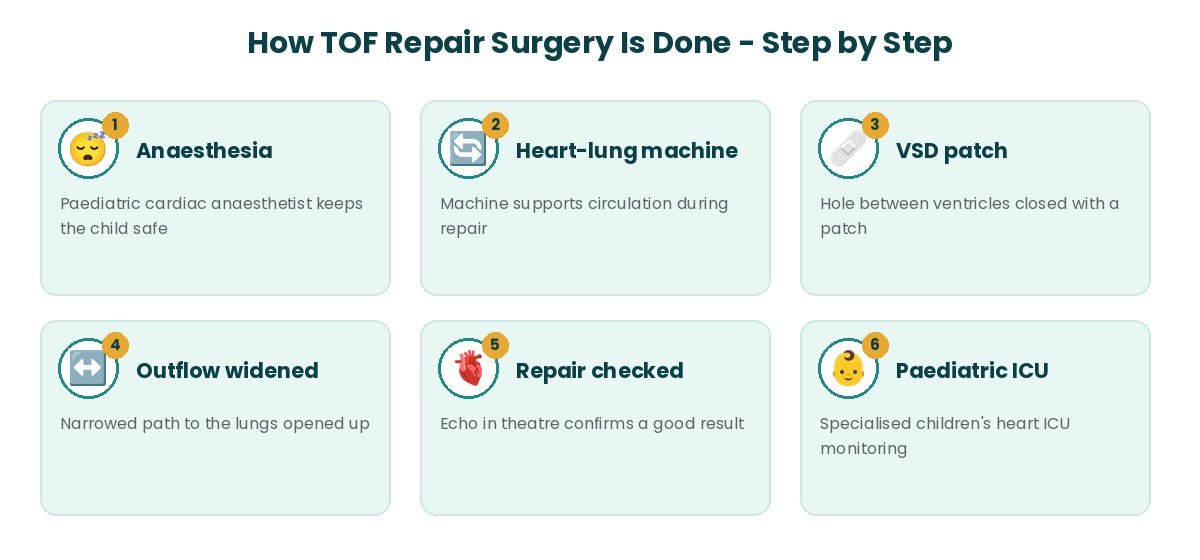 TOF Repair Surgery procedure steps