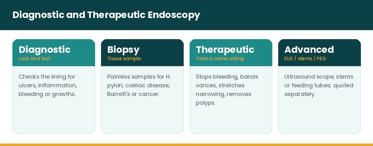 Types of upper GI endoscopy diagnostic biopsy therapeutic Types of upper GI endoscopy diagnostic biopsy therapeutic